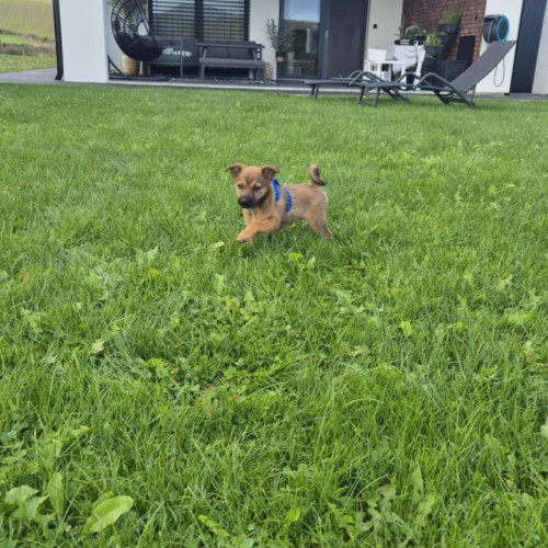 Zoe