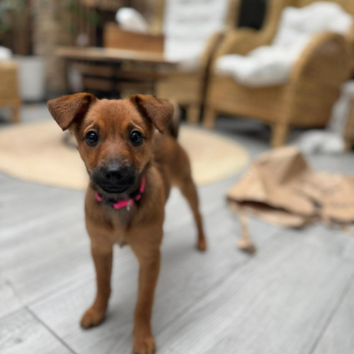 Zoe