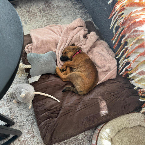 Zoe