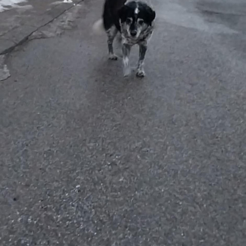 Bublinka
