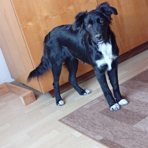 Lucy