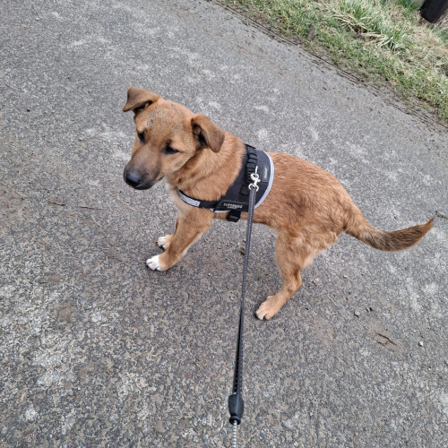 Hugo