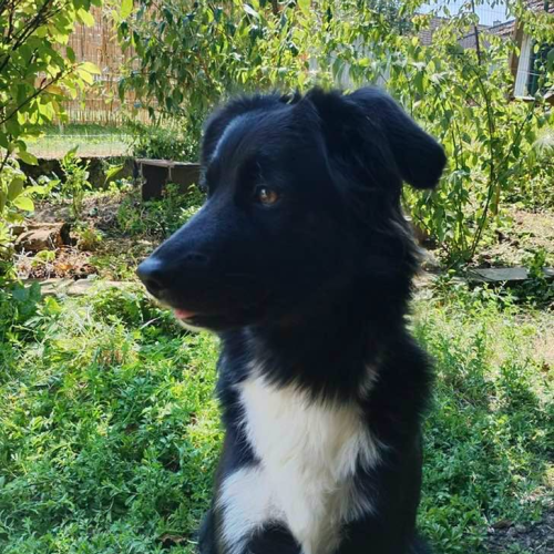Lucy