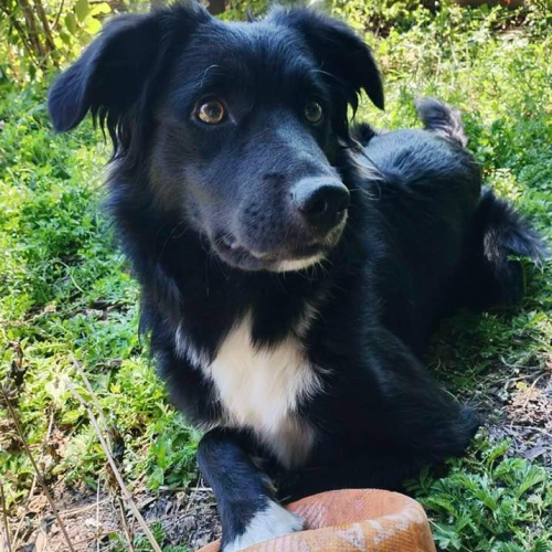Lucy