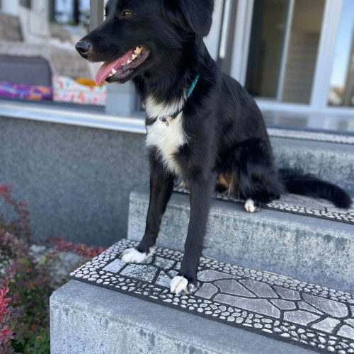 Lucy