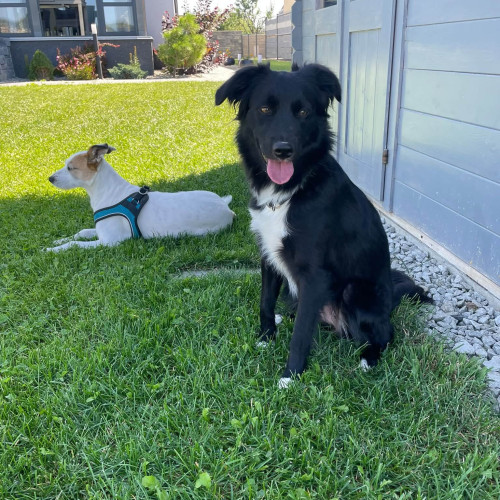 Lucy