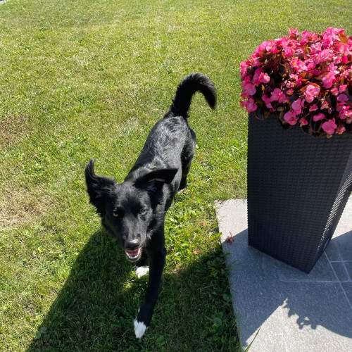 Lucy